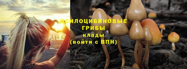 прущая мука Алексеевка