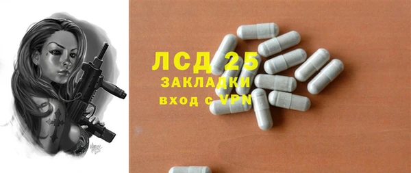 крисы Алзамай