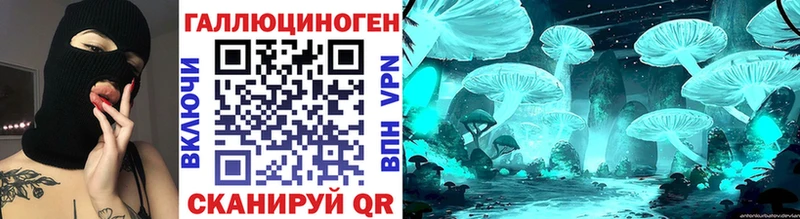 Псилоцибиновые грибы Psilocybine cubensis  Йошкар-Ола 