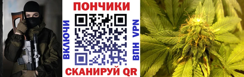 где купить   Йошкар-Ола  Марихуана SATIVA & INDICA 